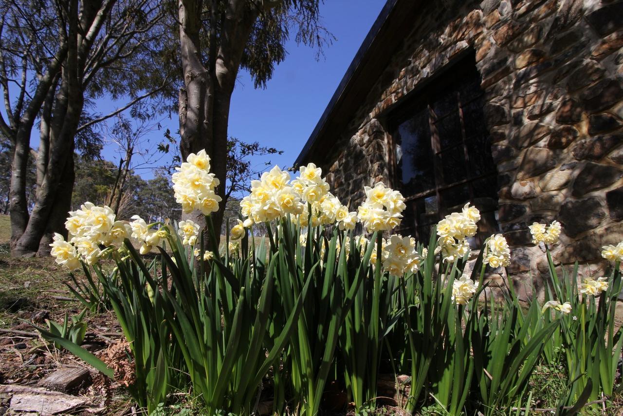 The Great House Bnb Buckland Luaran gambar